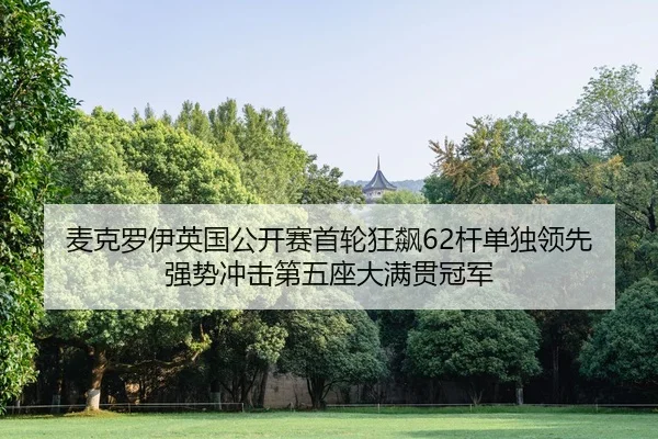 mai-ke-luo-yi-ying-guo-gong-kai-sai-shou-lun-kuang-biao-gan-dan-du-ling-xian-qiang-shi-chong-ji-di-wu-zuo-da-man-guan-2-449.jpg